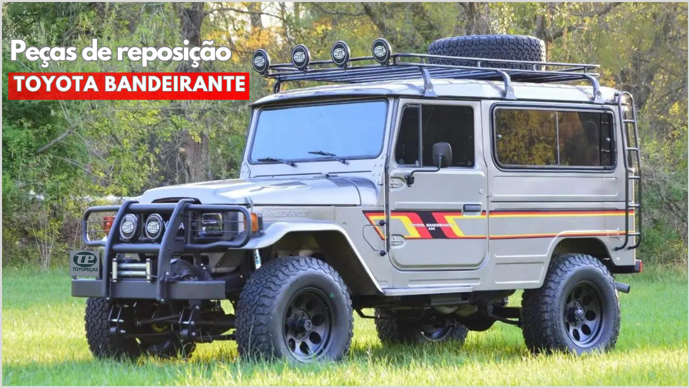 SITE Peças de reposição BANDEIRANTE.png