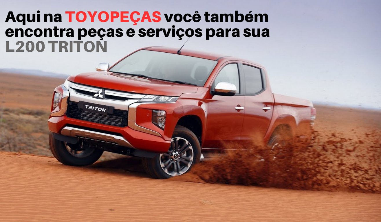 pagina 4 site   11.png